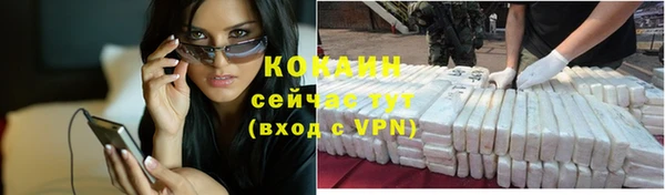 прущие грибы Богданович
