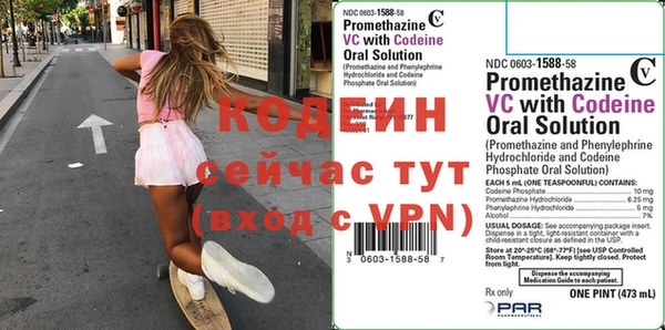 прущие грибы Богданович