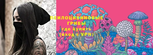 прущие грибы Богданович