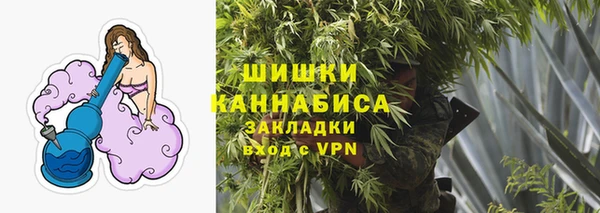 прущие грибы Богданович