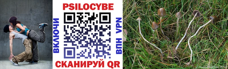 Псилоцибиновые грибы Psilocybe  KRAKEN как зайти  Междуреченск 